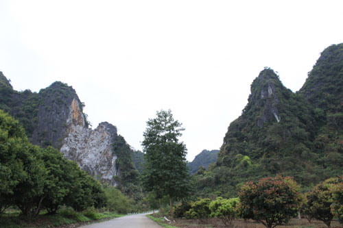 Route principale sur l'île de Cát Bà