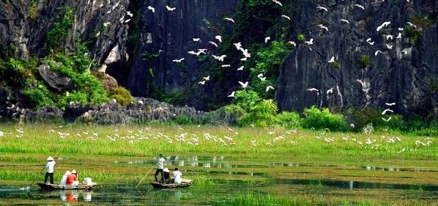 A la réserve naturelle de Van Long, Ninh Binh