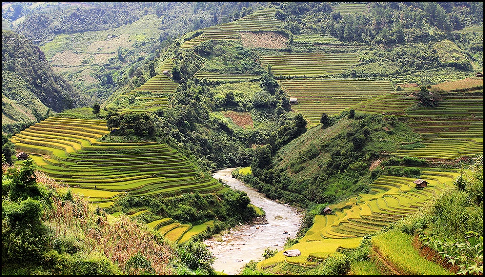 Les rizières en terrasses dans le village de Dế Xu Phình