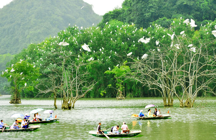 Zone écotouristique de Thung Nham à la baie d'Halong terrestre (Ninh Binh)