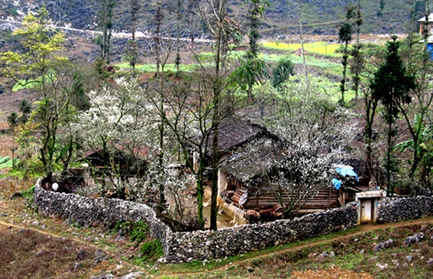 Une maison des Hmong à Ha Giang