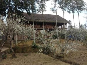 nuit chez l'habitant Bac Ha - Mr Sa homestay1