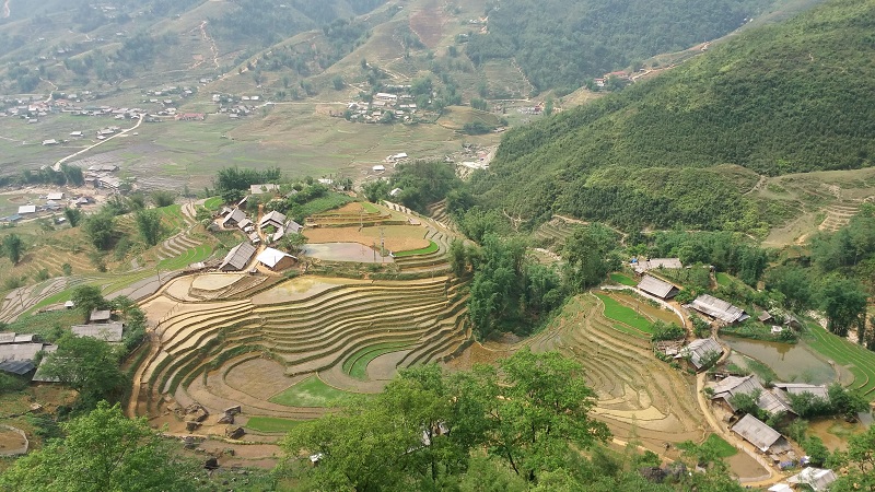 Les rizières en terrasses à Sapa