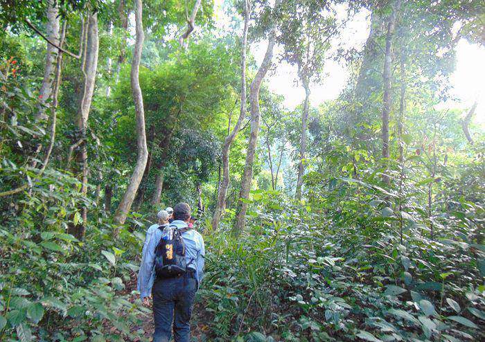 Trek au parc national de Phong Nha Ke Bang