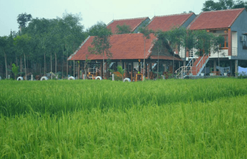 Sy's homestay Phong Nha2