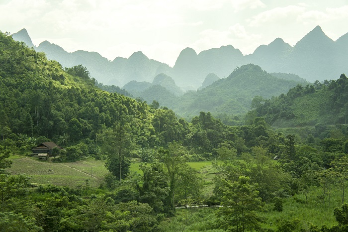 paysages de Quan Ba