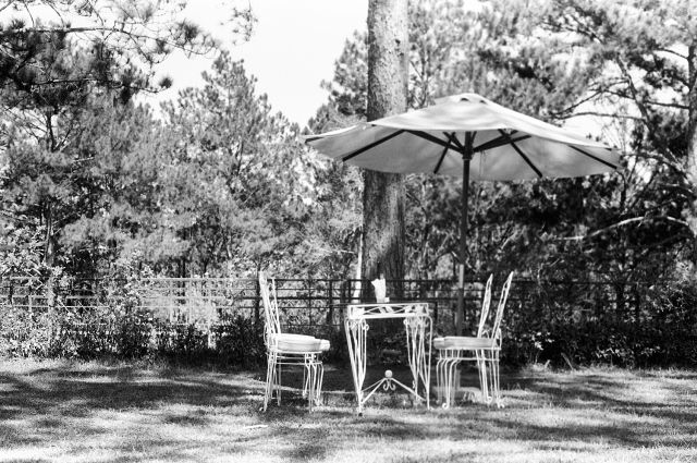 Photo 44. Terrasse du café dans le parc du Palais 1