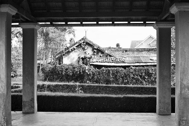 Photo  47. Les jardins du Lycée Yersin
