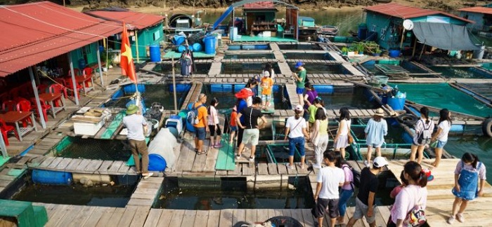 Visite d'une ferme poisson