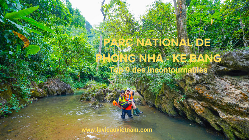 Parc national de Phong Nha Ke Bang top 9 des incontournables