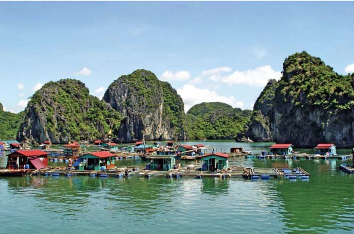 village flottant des pêcheurs de Cai Bèo