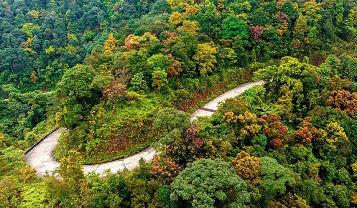 paysage du parc national de Bach Ma