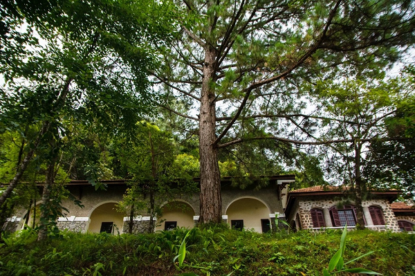 Ancienne villa à Bach Ma