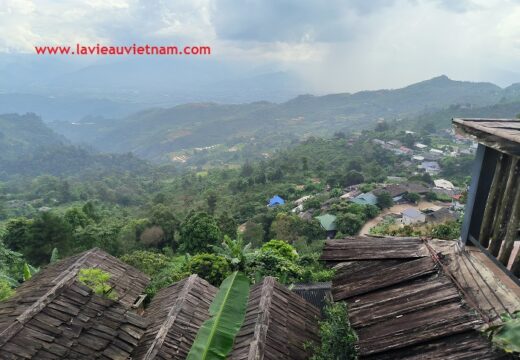 Vue depuis le Suoi Giang Tea Cultural Space