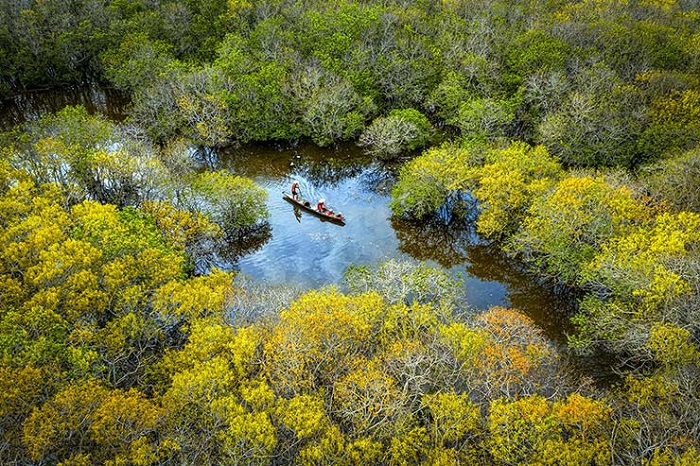 La forêt de mangroves Ru Cha, joyau du lagon de Tam Giang