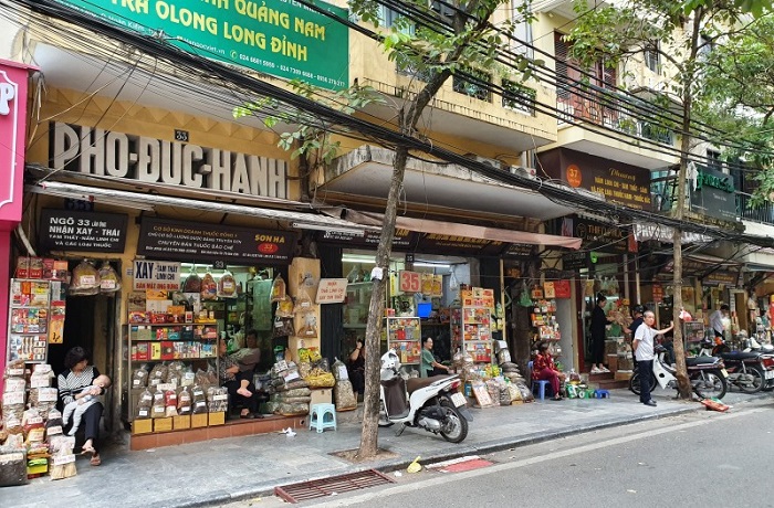 Rue Lãn Ông : Pharmacies de médecine traditionnelle