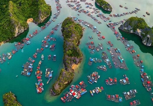 Le village de pêcheurs de Cai Bèo dans la baie de Lan Ha