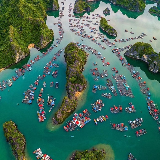 Le village de pêcheurs de Cai Bèo dans la baie de Lan Ha