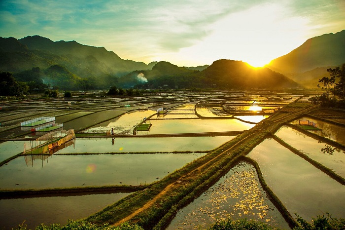 Rizières Mai Hich, Mai Chau