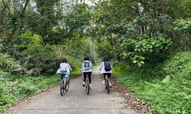 Les visiteurs peuvent explorer la forêt de Cúc Phương en une journée à vélo.