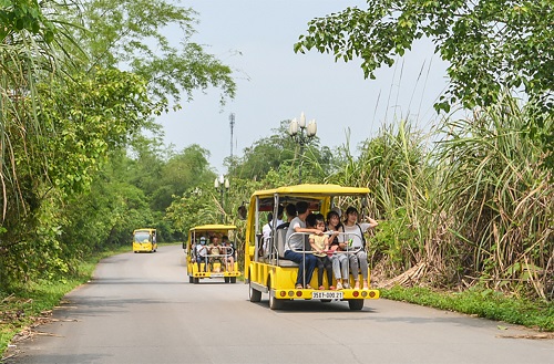 pagode-Bai-Dinh-voiturette-electrique