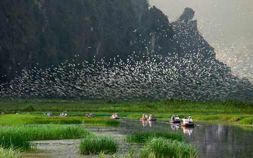 reserve-naturelle-van-long-ninh-binh