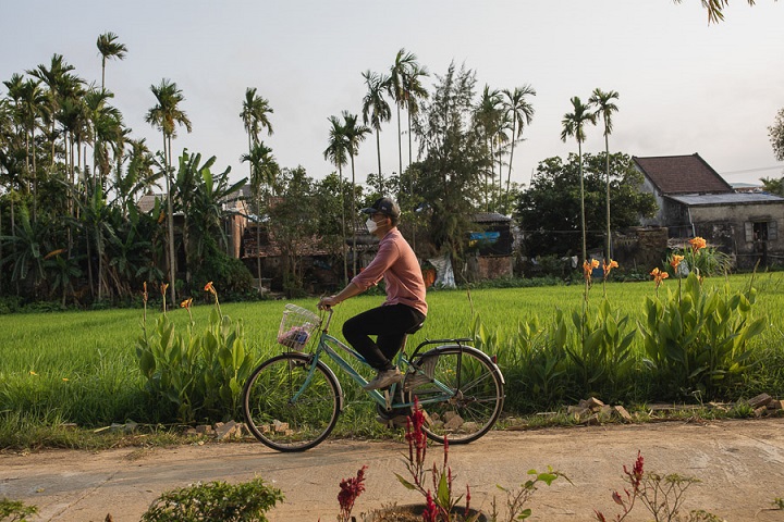 Les plus beaux parcours à vélo à Hội An 1