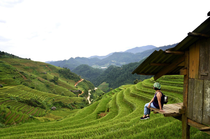 Les rizières de la colline Mâm Xôi à Mù Cang Chải sont encore vertes début septembre.