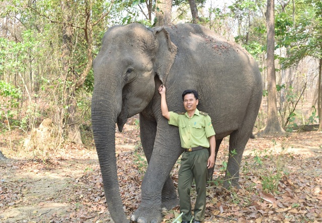 Parc national de Yok Don